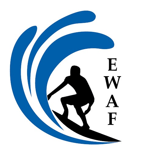 Elliott Wave Analysis France