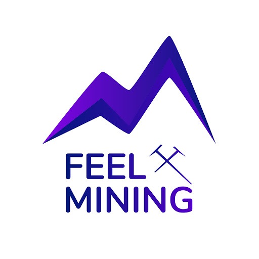Feel Mining