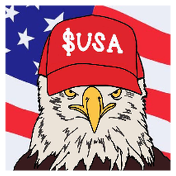 American Coin