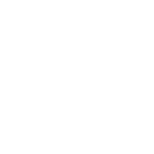 Anhui Zhongding A