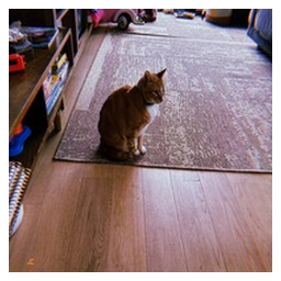 Ansem's Cat