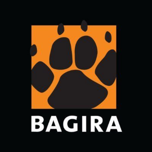 Bagira M Holdings