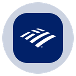 Bank of America Tokenized Stock (Ondo)