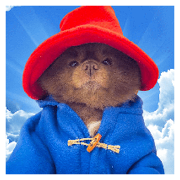 Bertram The Pomeranian