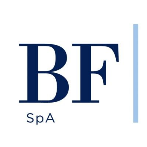 BF Holding