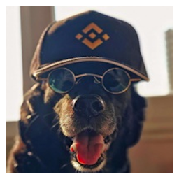 Binancedog