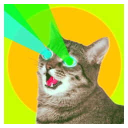 Bitcoin Cat