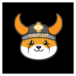 BNB FLOKI