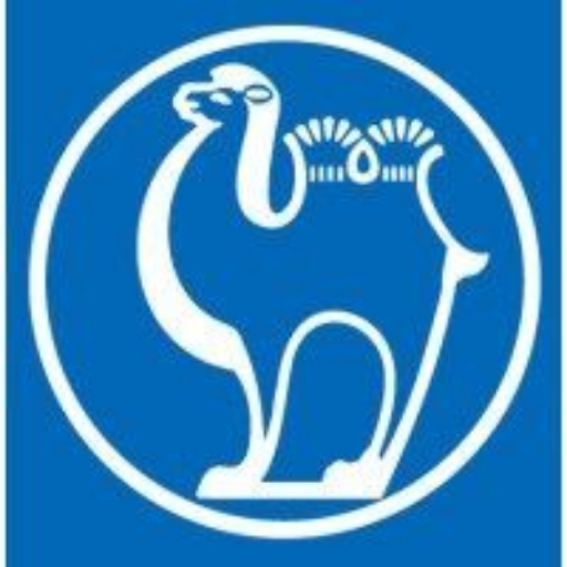 Camel Group