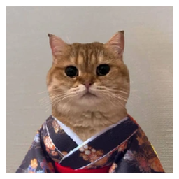 Cat Own Kimono