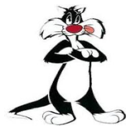 CAT SYLVESTER