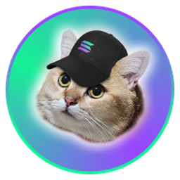 CatSolHat