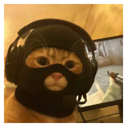 catwifmask