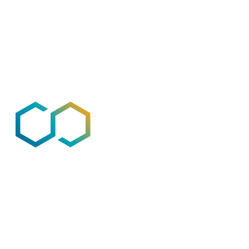 CHAPTERS
