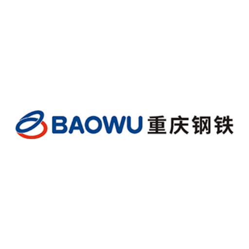 Chongqing Iron Steel