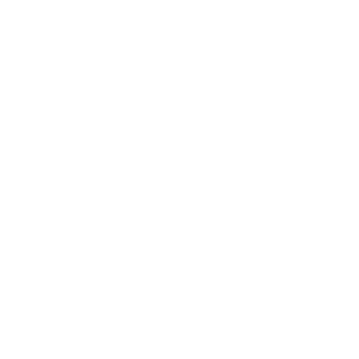 CLP Holdings