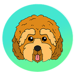 Cockapoo