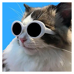 coolcat