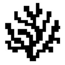 Coral Protocol