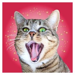 CRAZY CAT
