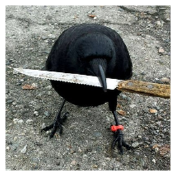 crow with knife