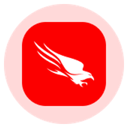 CrowdStrike Tokenized Stock (Ondo)