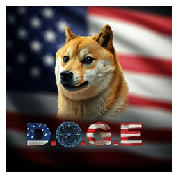 Department of Gov Efficiency (deptofgovtefficiency.com)