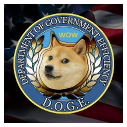 Department Of Government Efficiency (dogegov.com)