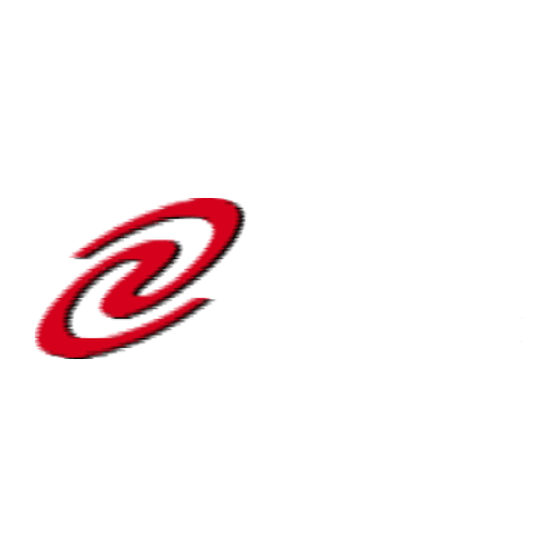 Digital China Group