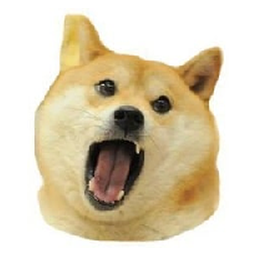 Doge Eat Doge