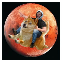 DOGE TO MARS