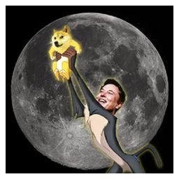 DOGE TO MOON (dogemoons.fun)