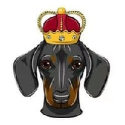DogeKing