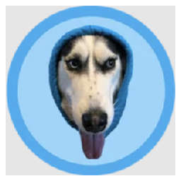 DOGWIFHOOD