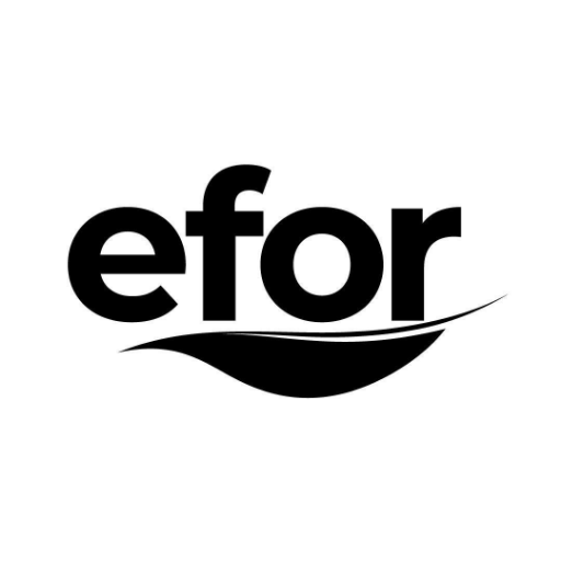 Efor Yatırım Sanayi