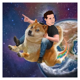 ELON DOGE