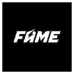 Fame MMA