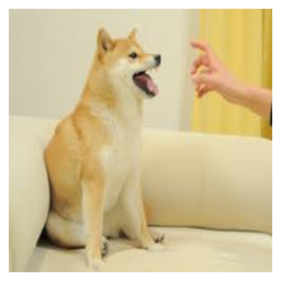 Feisty Doge NFT