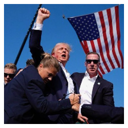 FIGHT TO MAGA