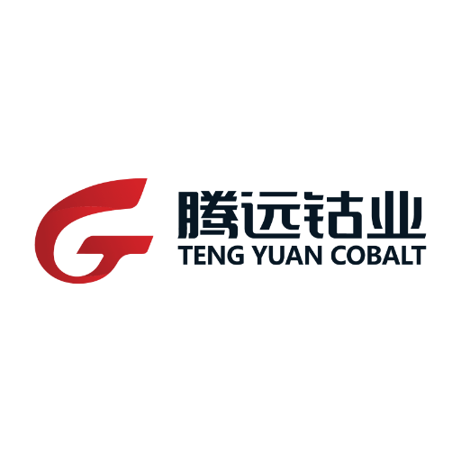 Ganzhou Tengyuan Cobalt New
