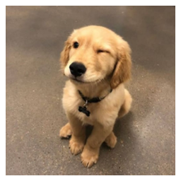 GOLDY