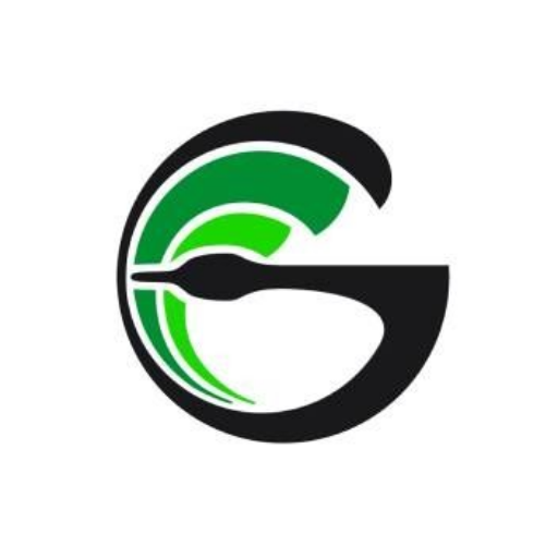Goosehead Insurance