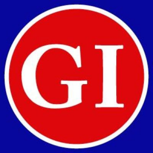 Graphite India