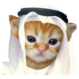 Habibi