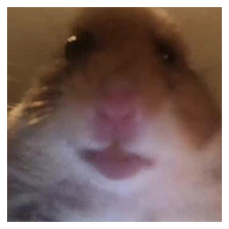 HAMI