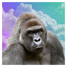 Harambe on Solana