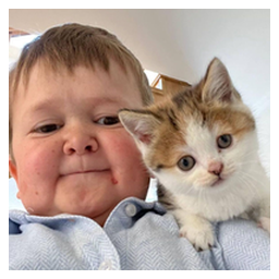 Hasbulla's Cat