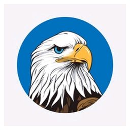 Hawk