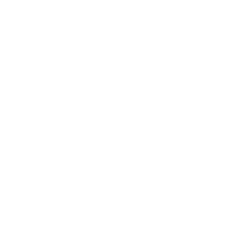 Horizon Robotics