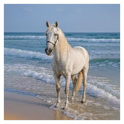 HORSE COIN
